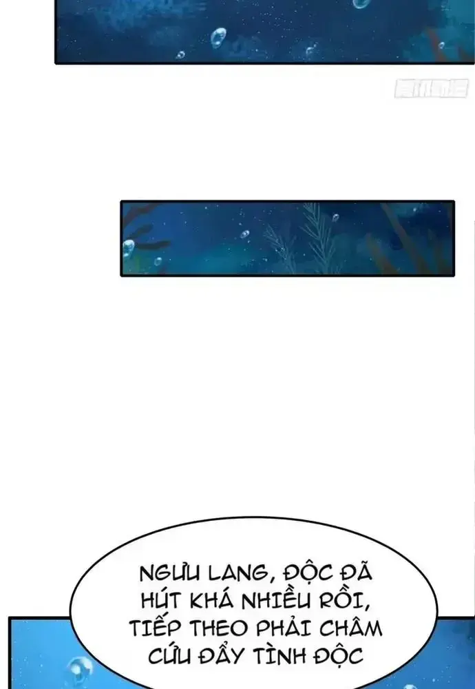 Tán Nhân Vô Địch Tái Sinh Vào Phong Thần Bảng Chapter 202 - 20