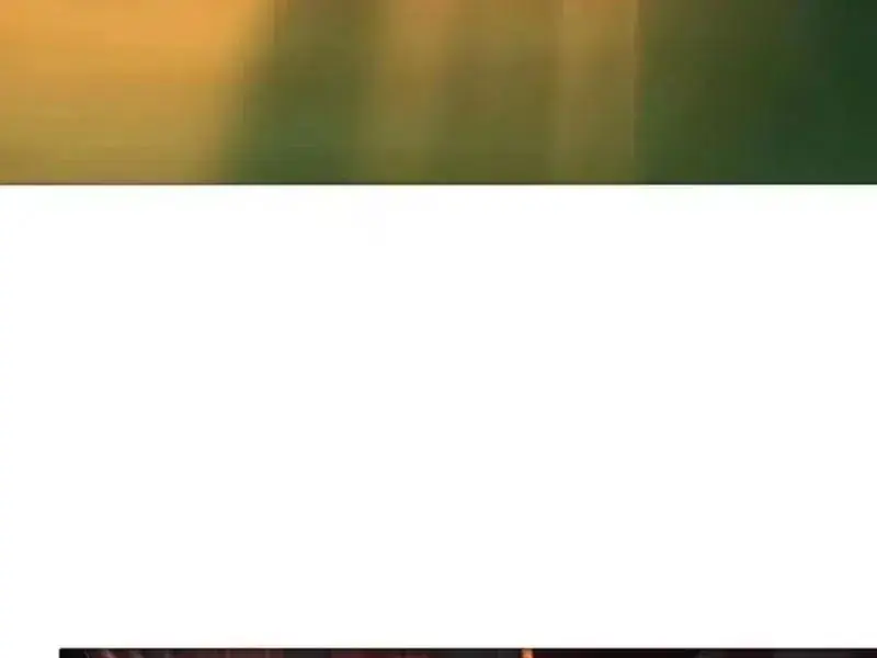 Tán Nhân Vô Địch Tái Sinh Vào Phong Thần Bảng Chapter 207 - 45