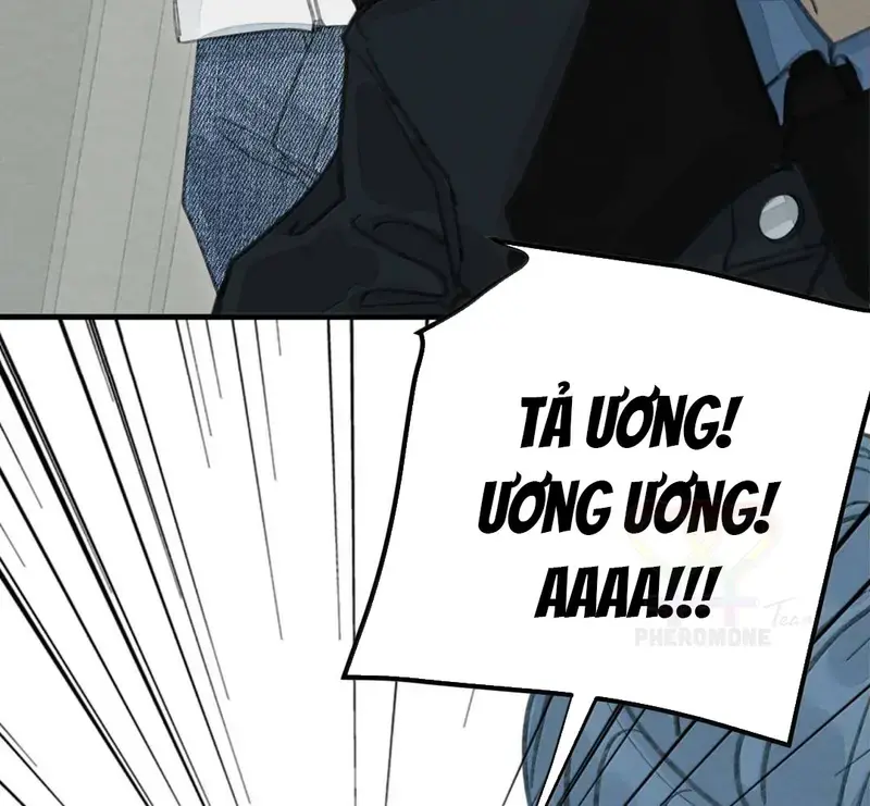 Tả Anh Tiểu Thư Chapter 33 - 9