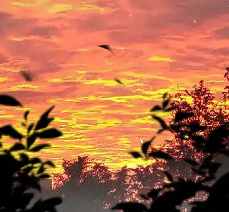 Sau Khi Xuyên Không Thành Thiên Kim Giả, Ta Lấy Lòng Thiên Kim Thật Sống Qua Ngày Chapter 39 - 60