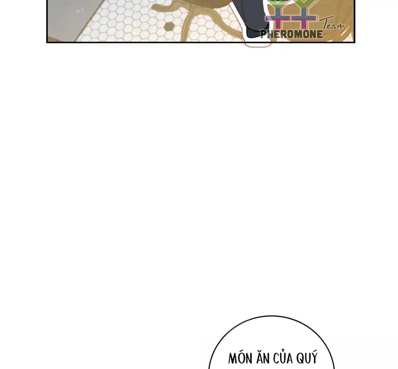 Run Run Rẩy Rẩy Chạy Khỏi Người Chapter 47 - 49