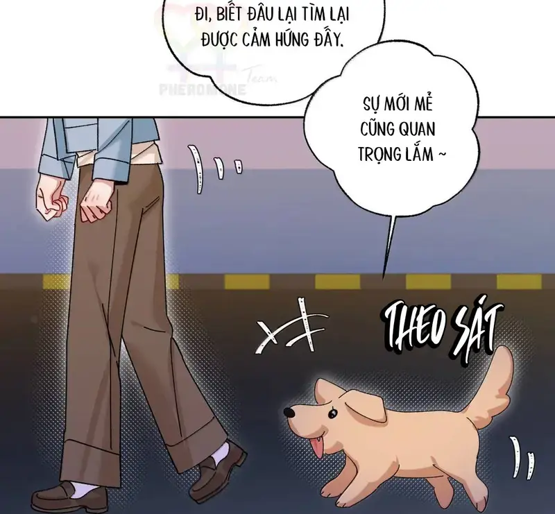 Run Run Rẩy Rẩy Chạy Khỏi Người Chapter 53 - 50